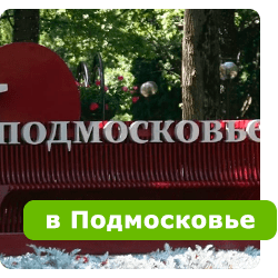 В Подмосковье